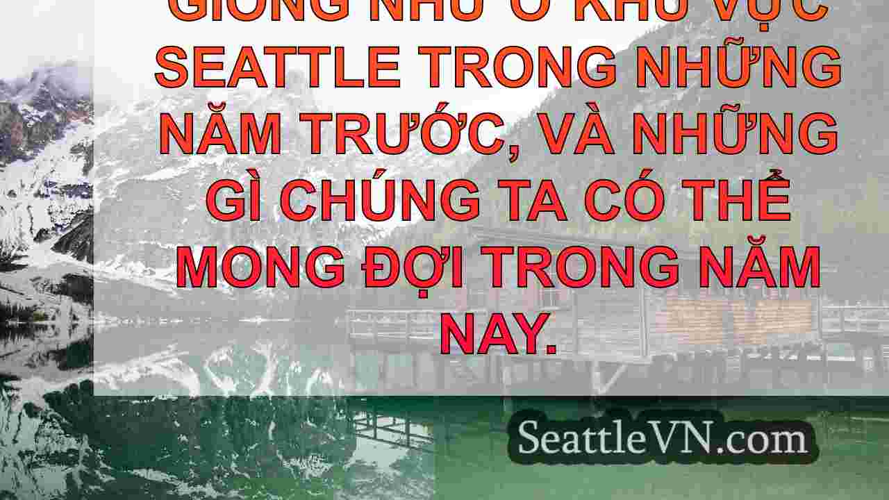tin tức seattle SeattleVN