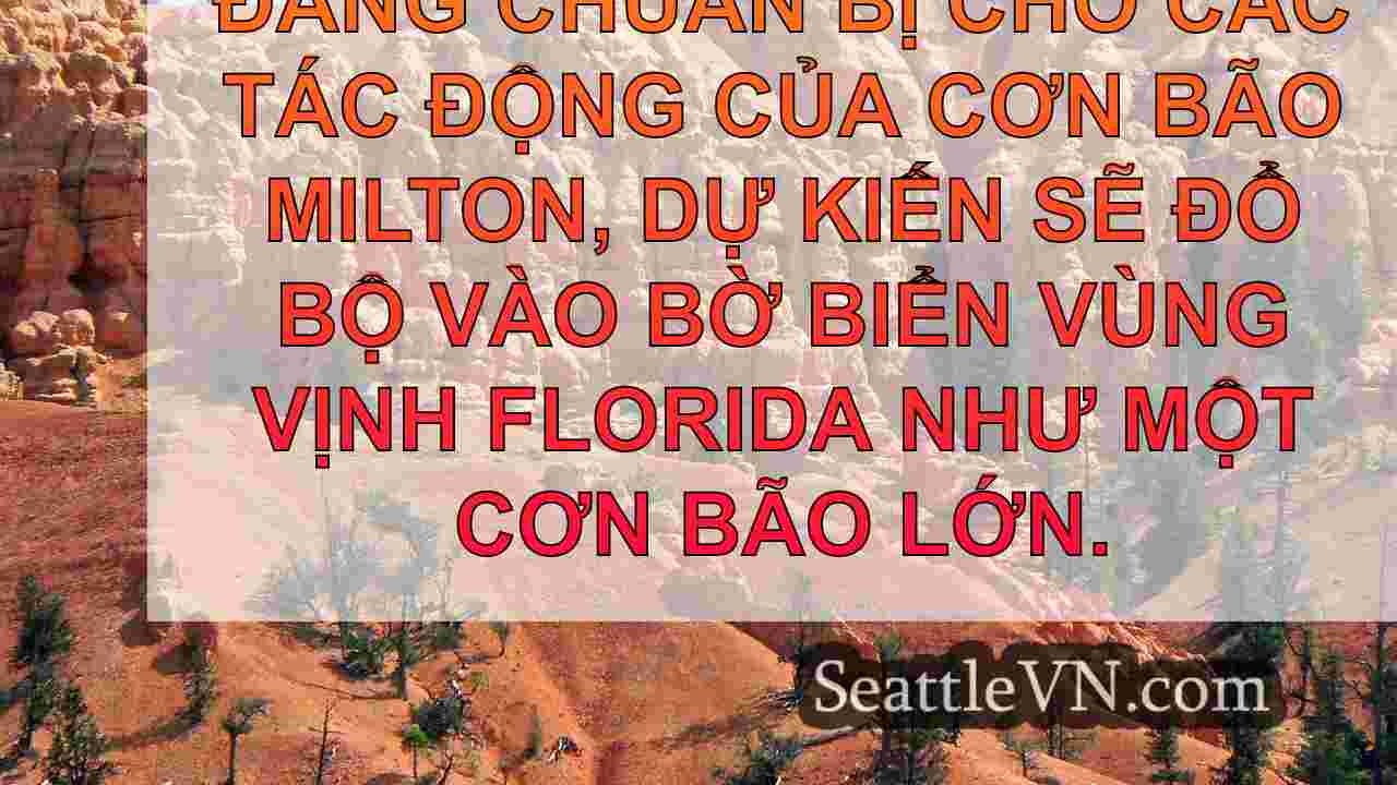 tin tức seattle SeattleVN