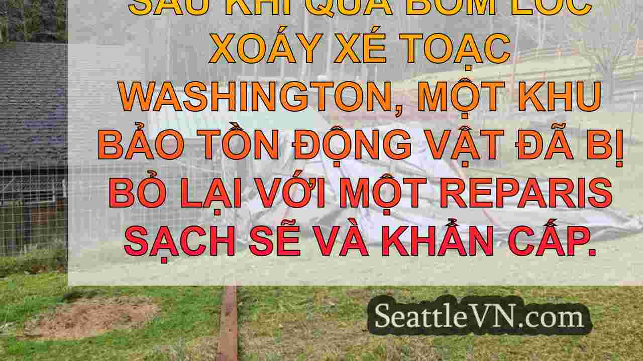 tin tức seattle SeattleVN