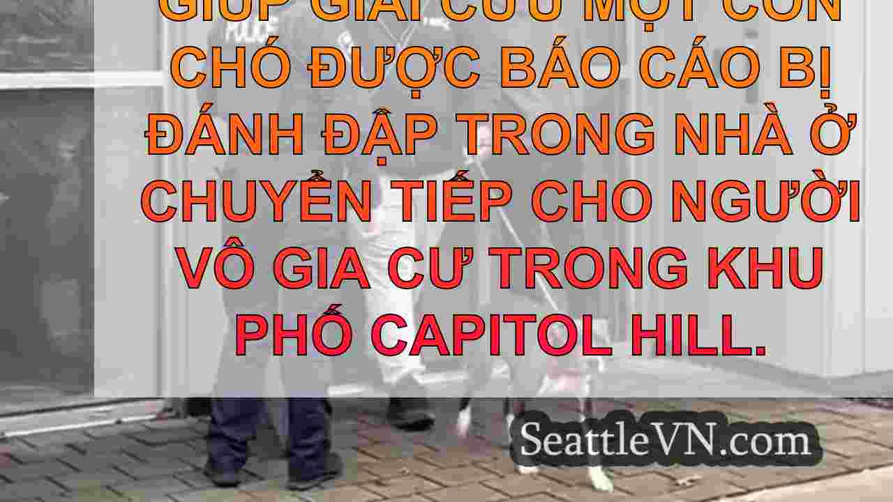 Ủy viên hội đồng Seattle giúp giải cứu