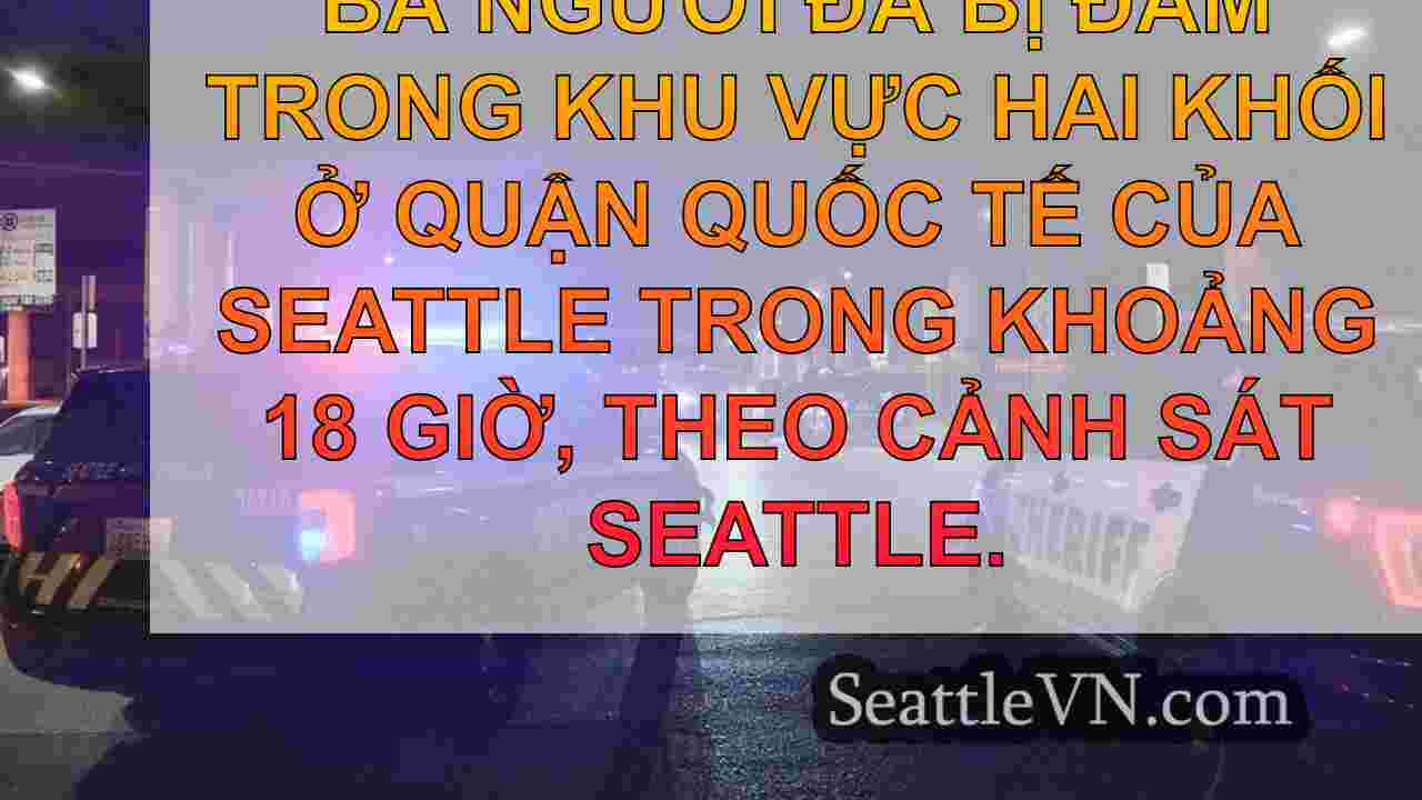 Ít nhất 3 người đã đâm nhiều lần trong