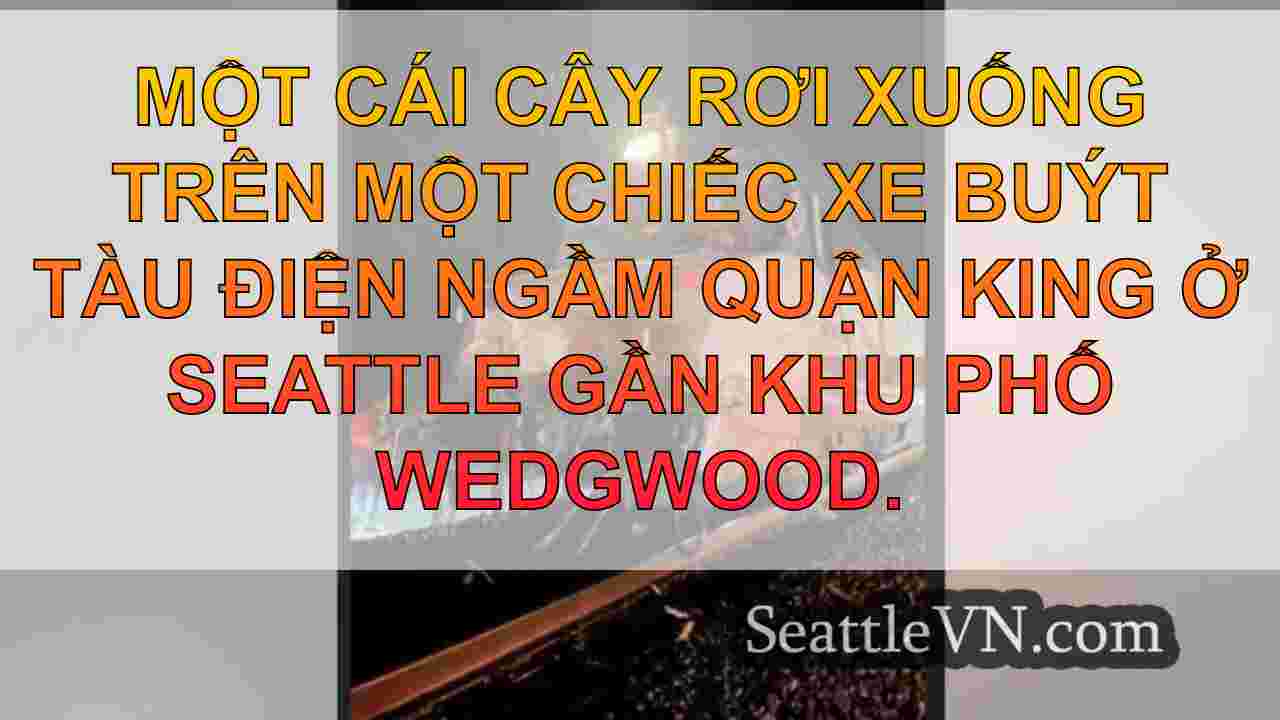 Đóng các cuộc gọi cho WA Mass Transit,