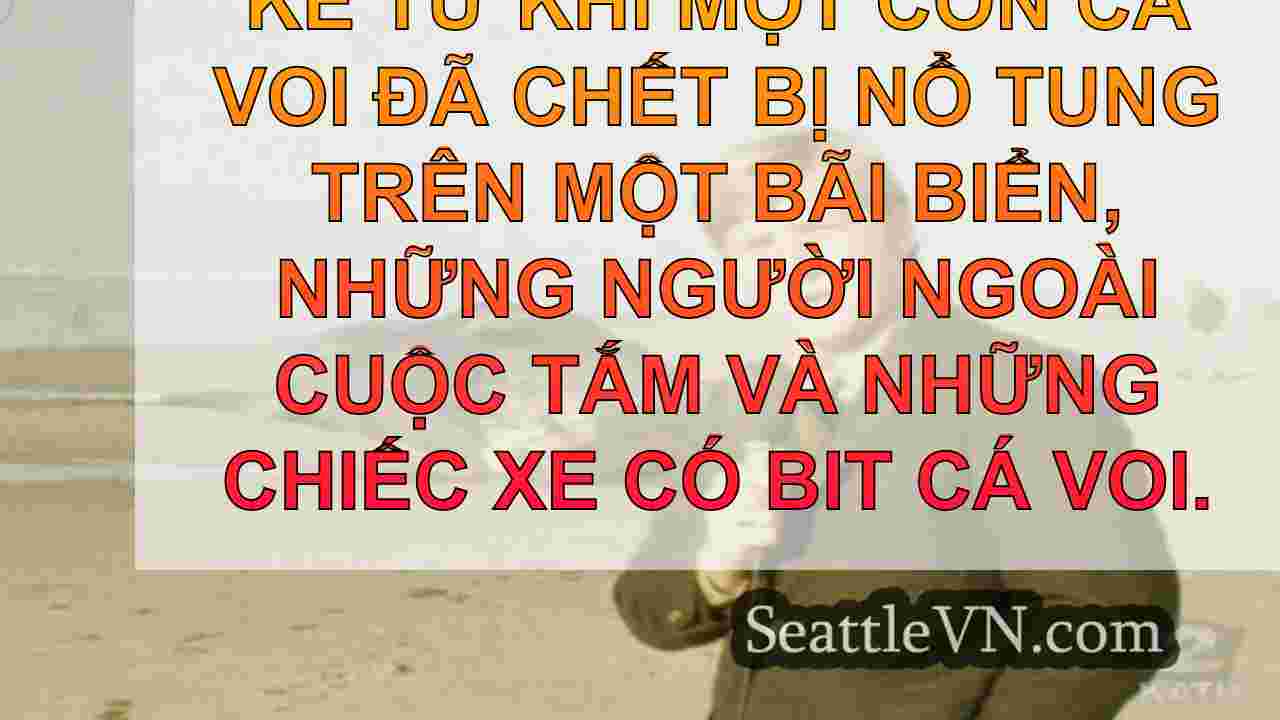 tin tức seattle SeattleVN