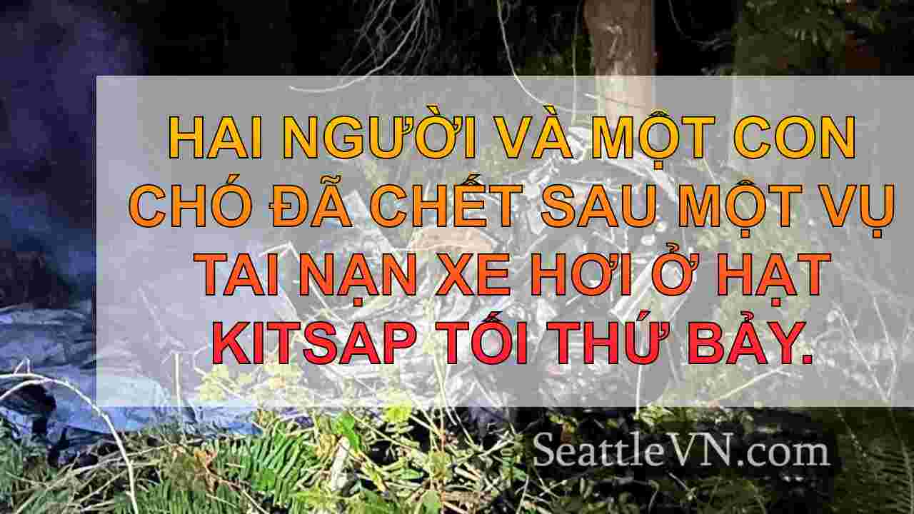2 người, chó chết sau khi xe hơi đâm
