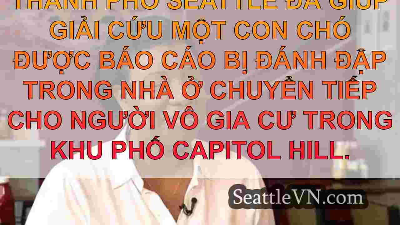 tin tức seattle SeattleVN