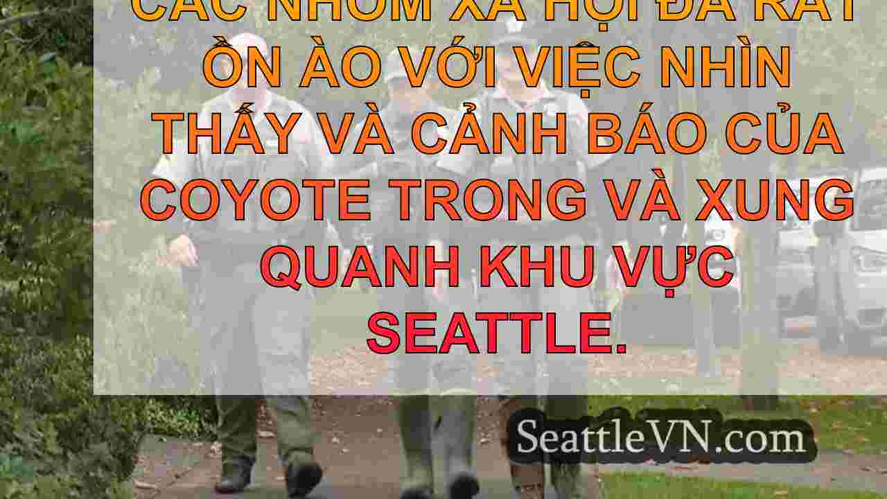 tin tức seattle SeattleVN
