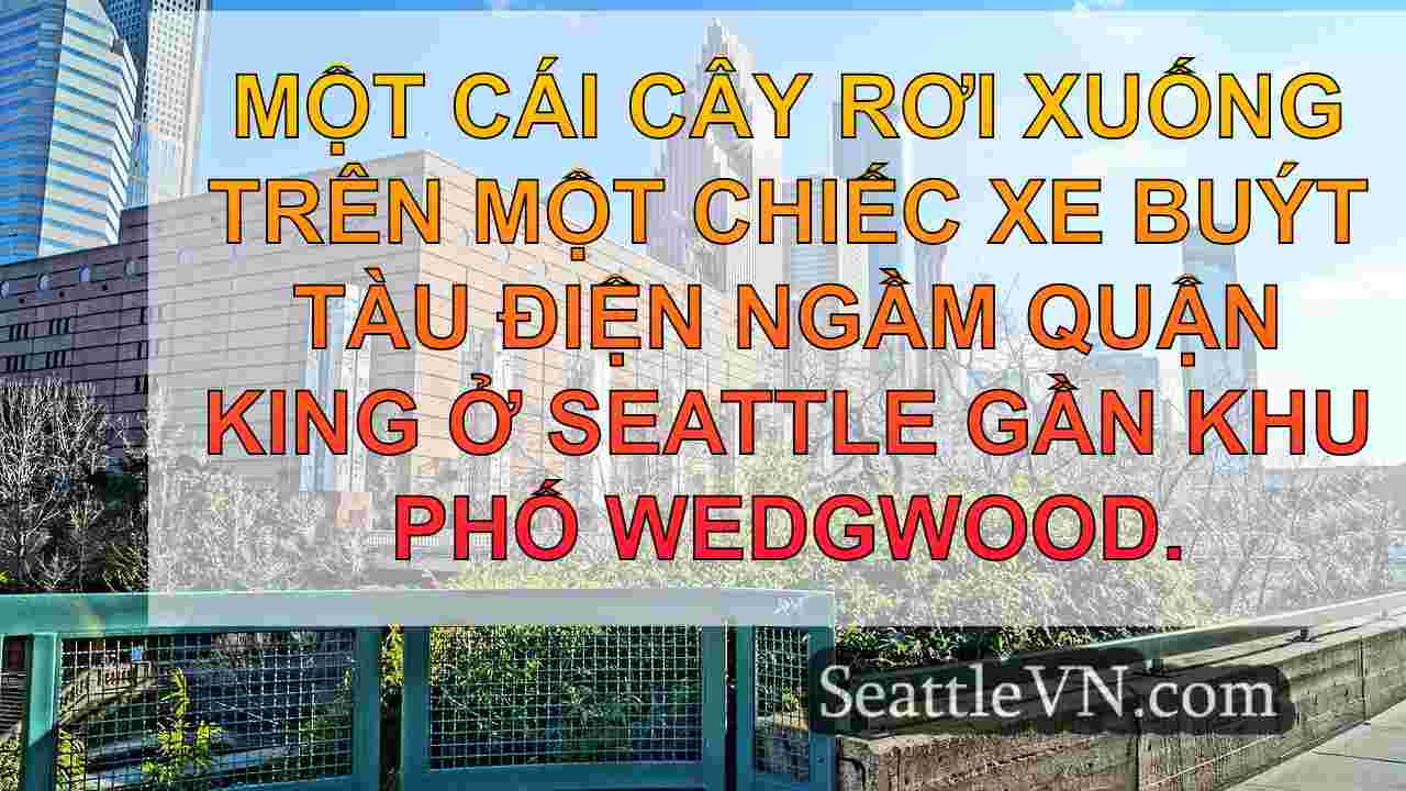 tin tức seattle SeattleVN