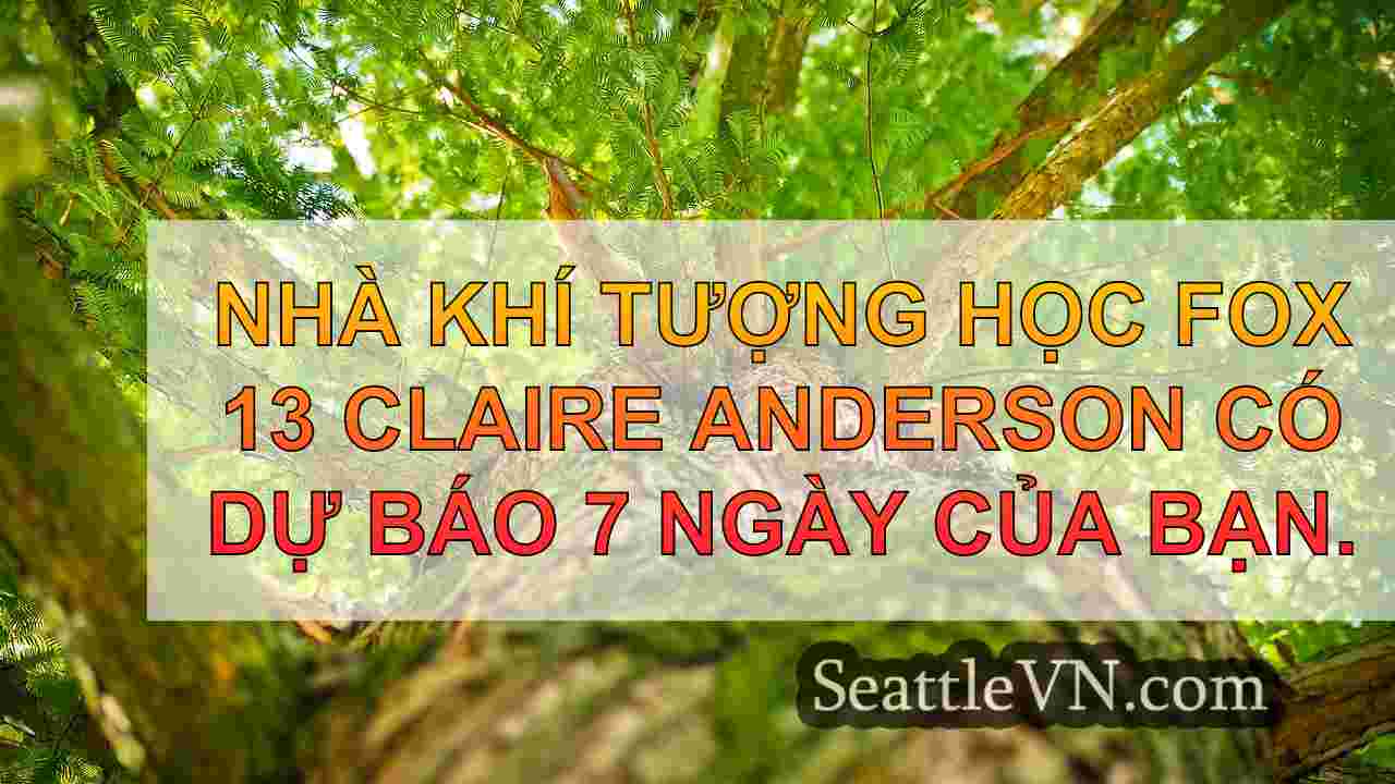 tin tức seattle SeattleVN