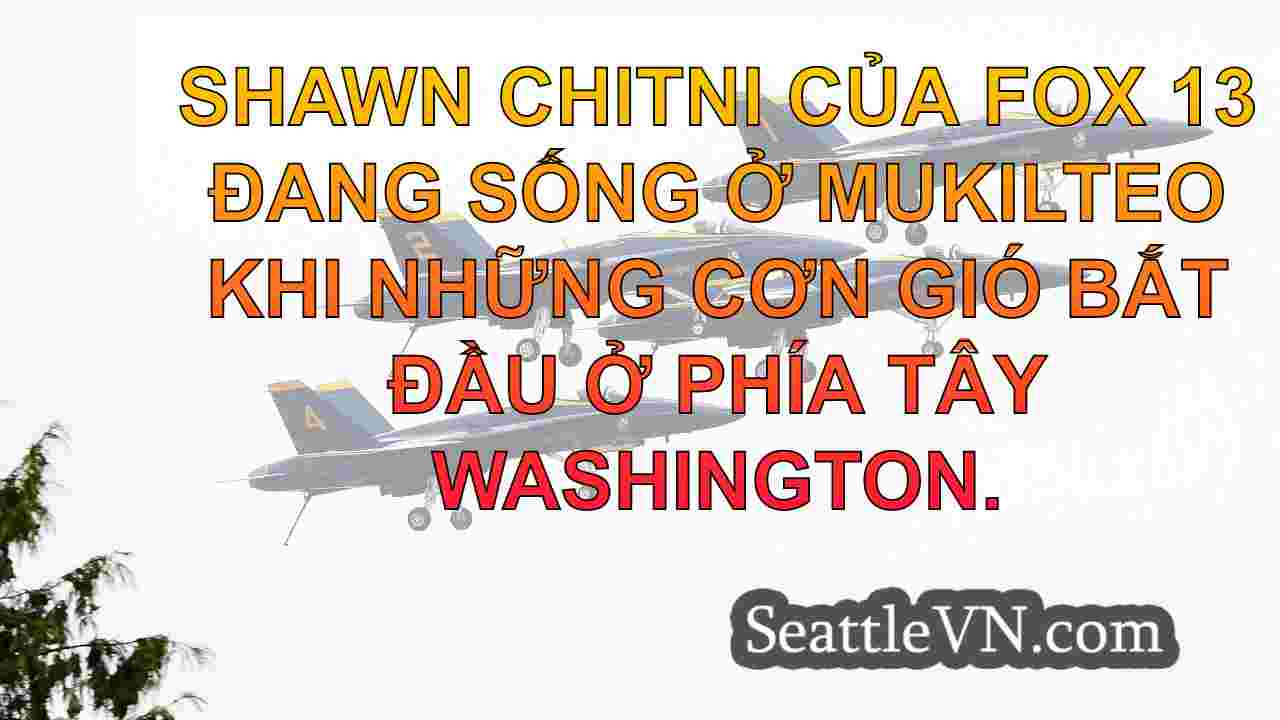 tin tức seattle SeattleVN