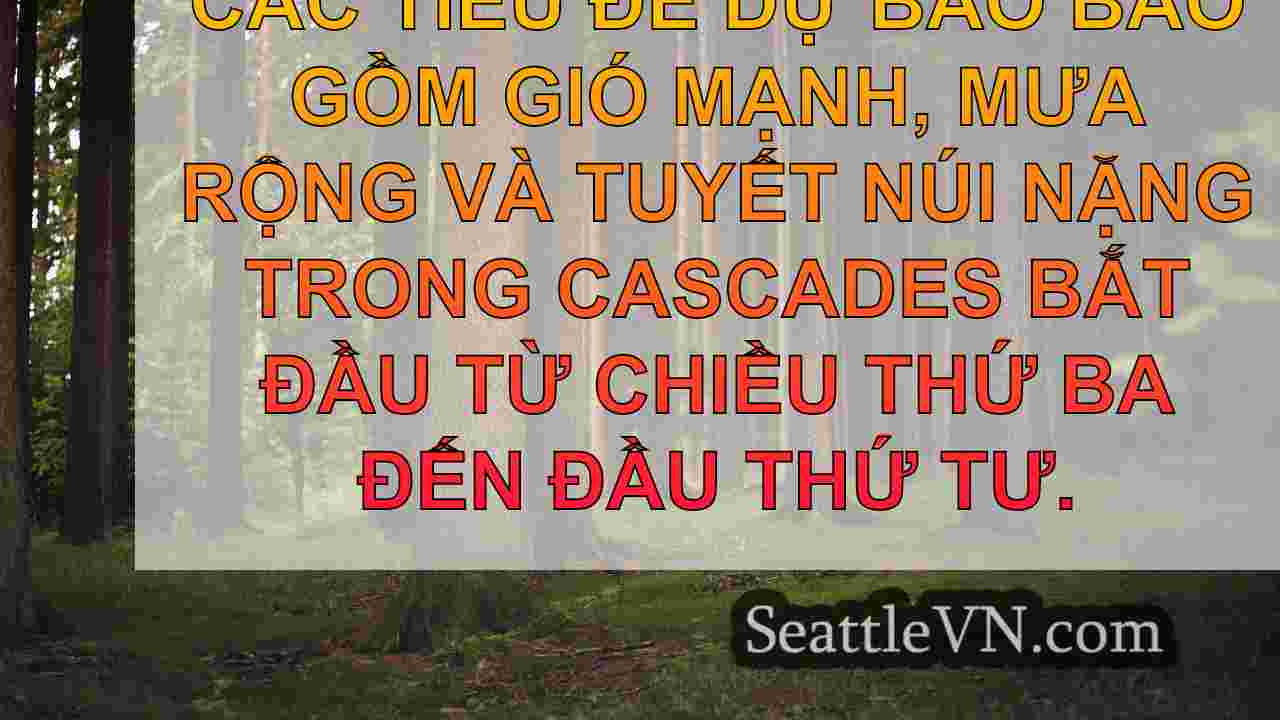 tin tức seattle SeattleVN