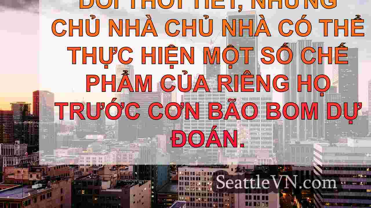 tin tức seattle SeattleVN