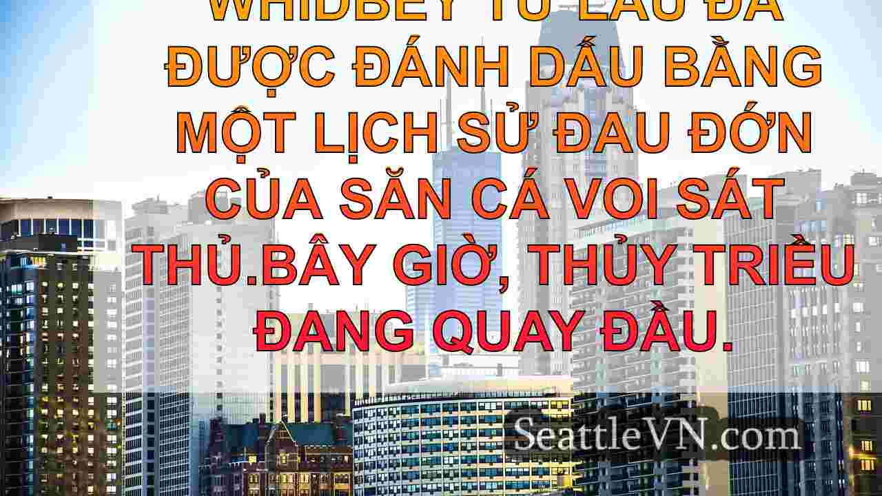 tin tức seattle SeattleVN