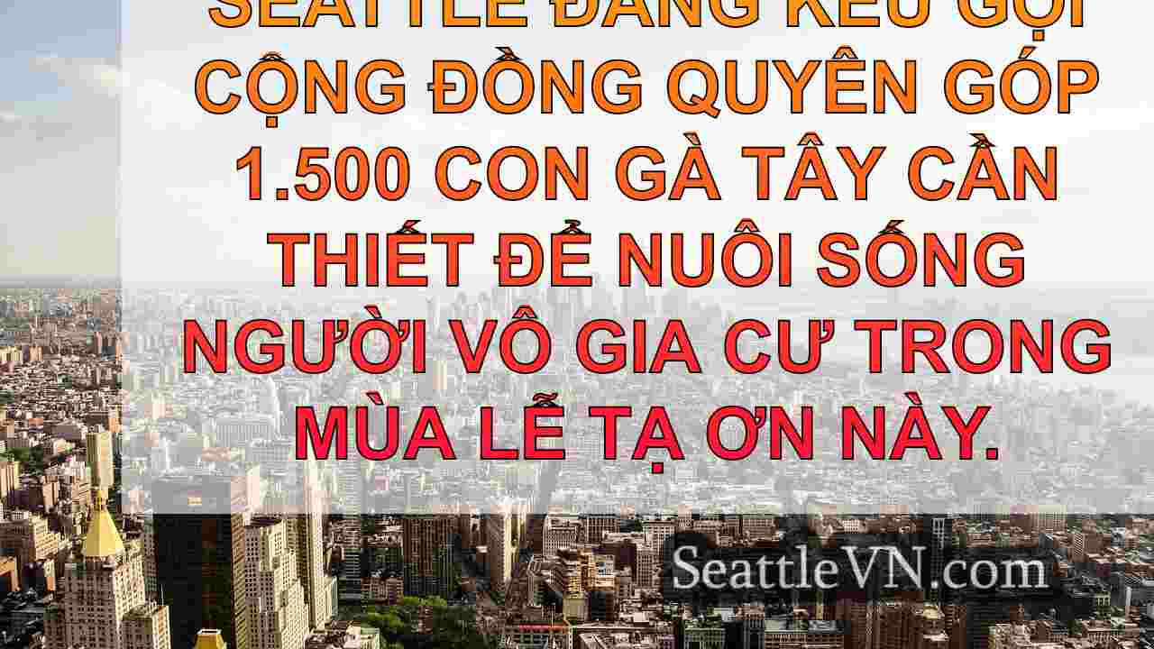 tin tức seattle SeattleVN