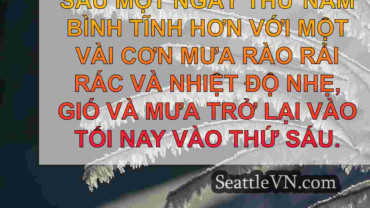 tin tức seattle SeattleVN