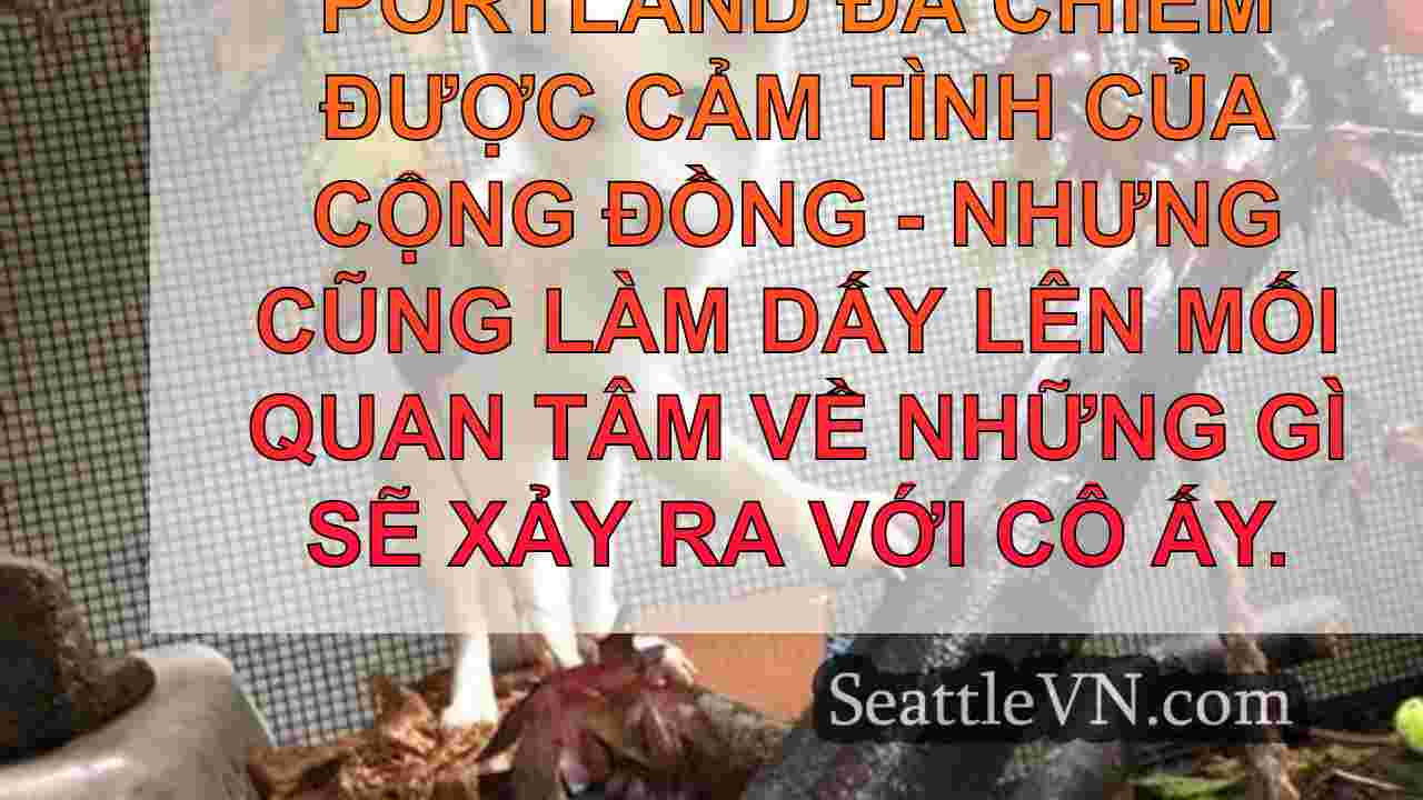 tin tức seattle SeattleVN