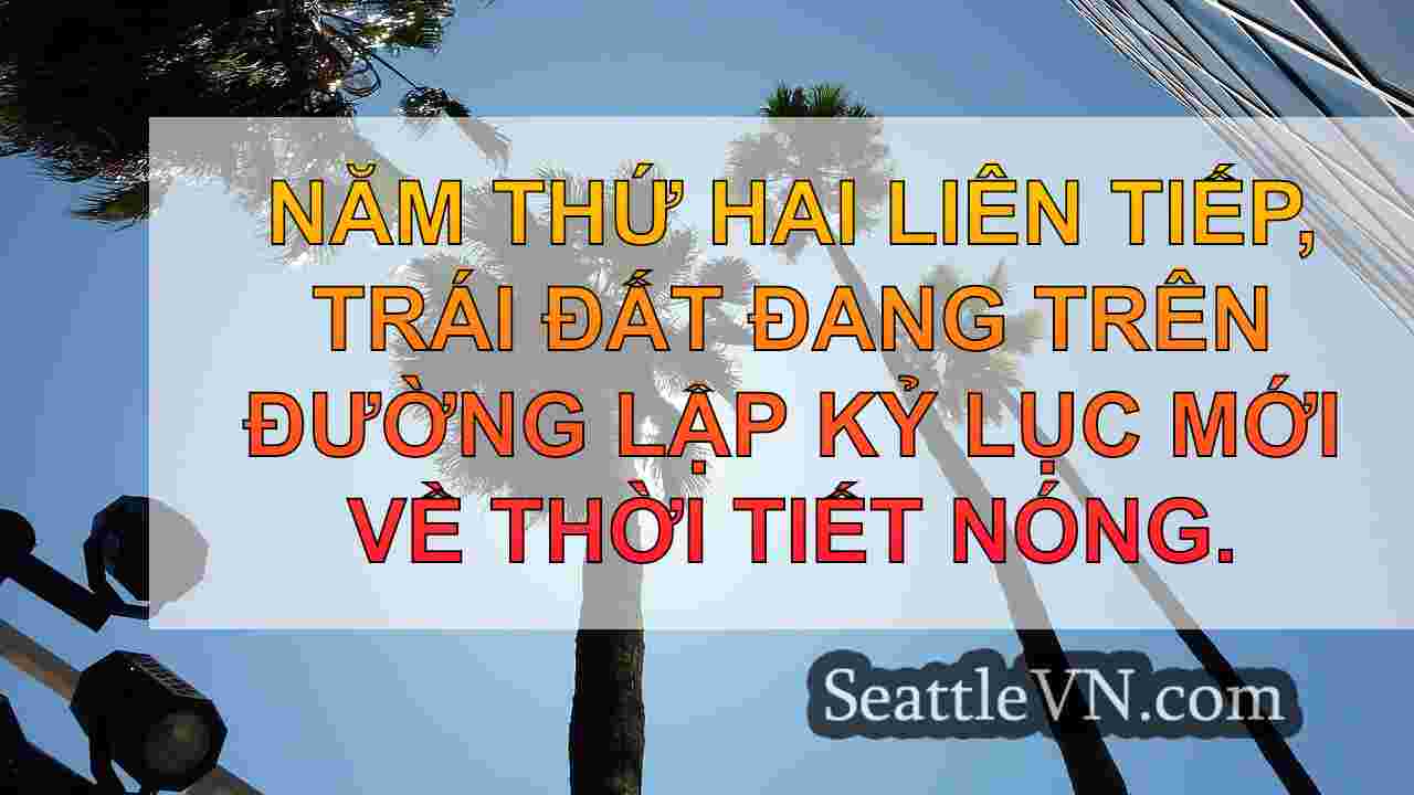 tin tức seattle SeattleVN