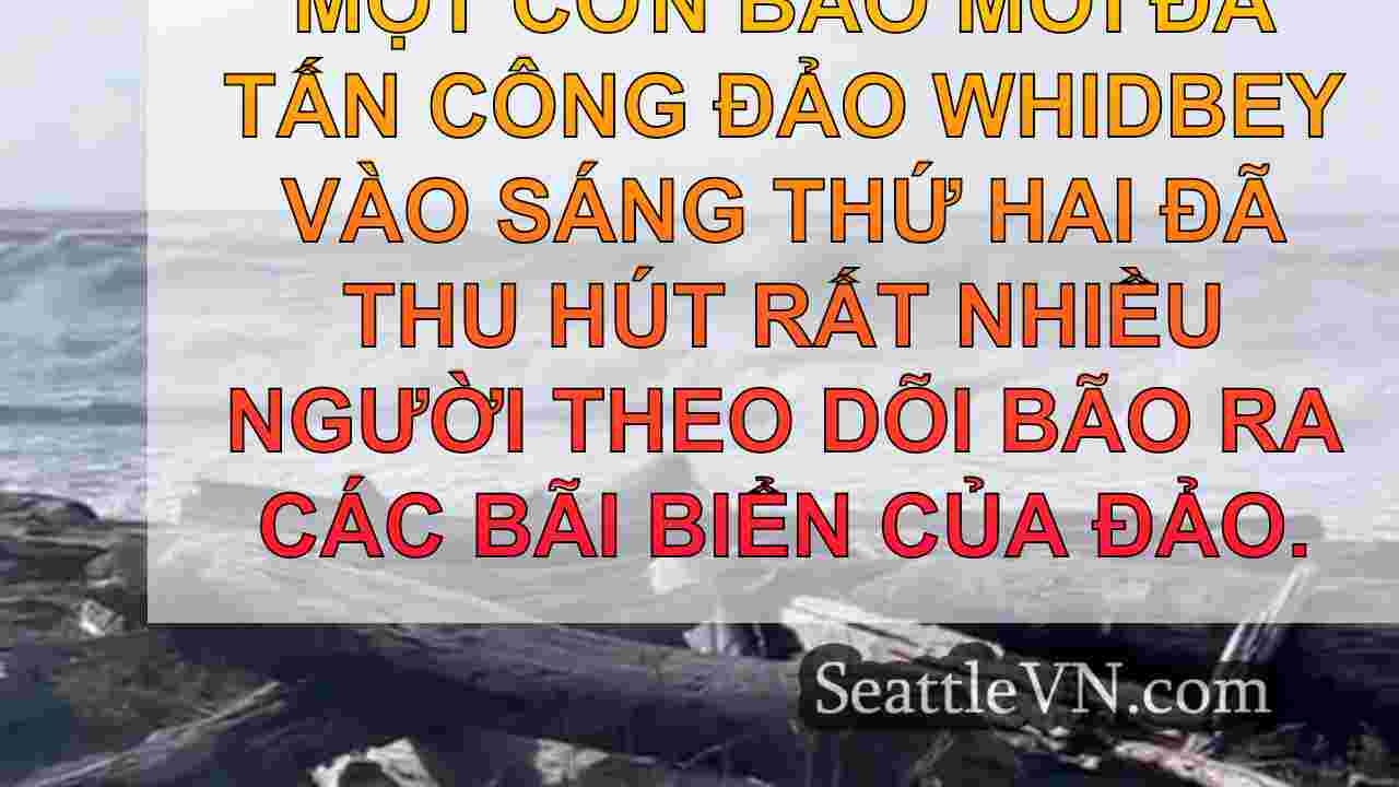 tin tức seattle SeattleVN