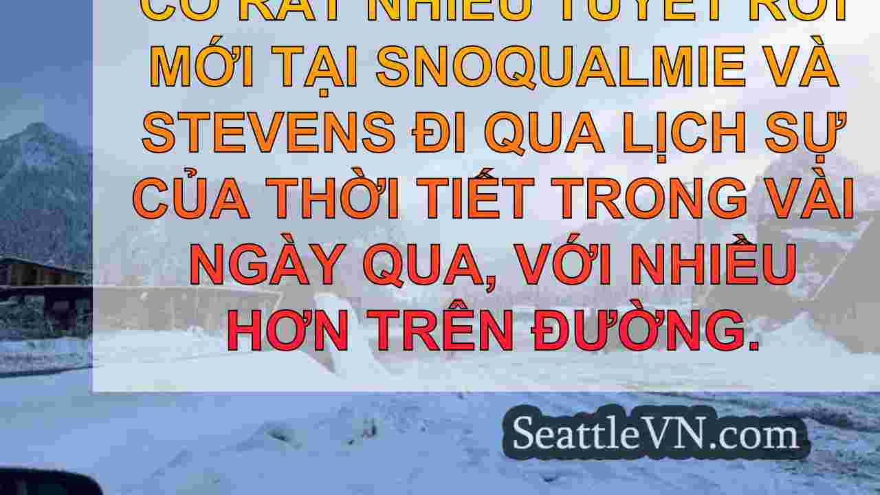tin tức seattle SeattleVN