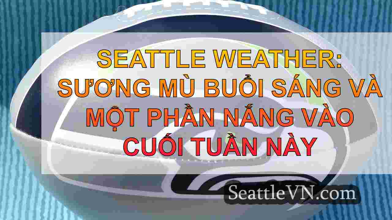 Seattle Weather: Những đêm lạnh giá