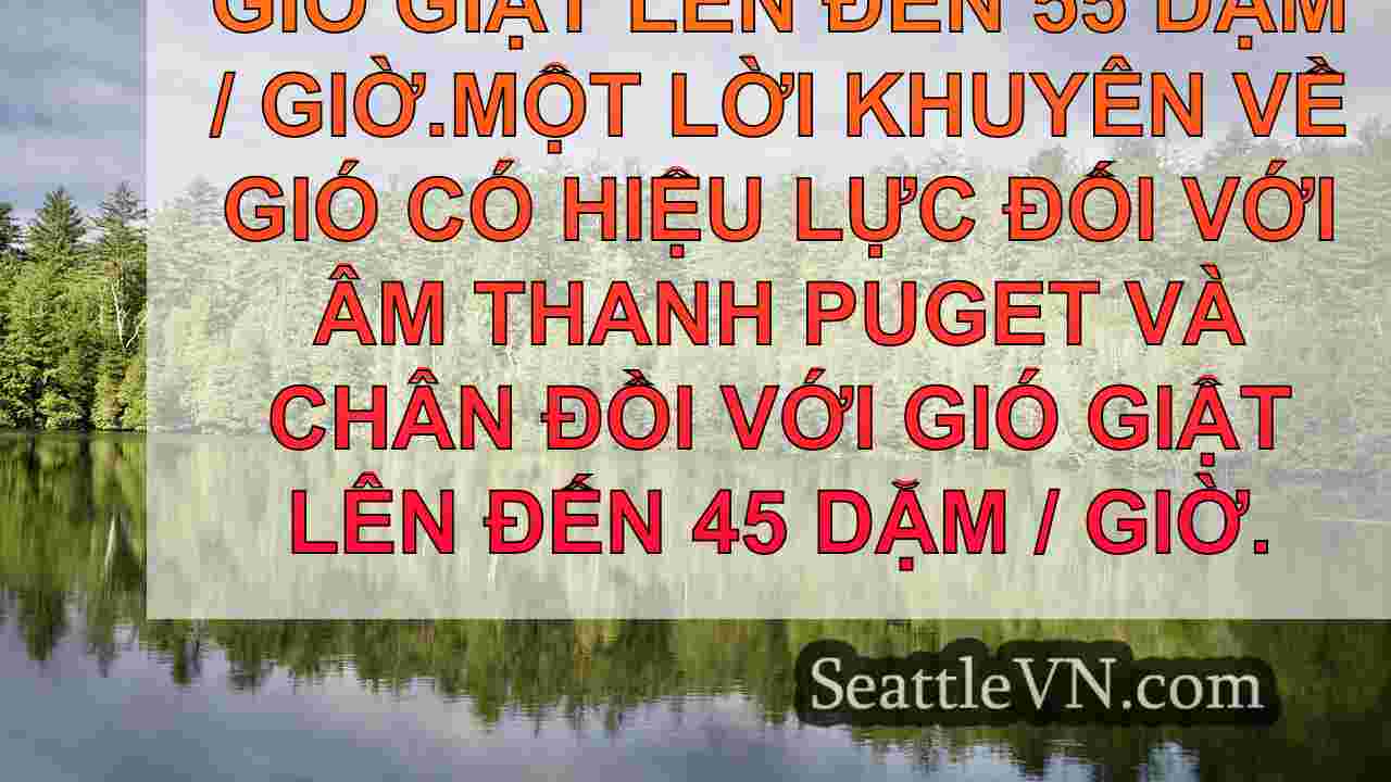 tin tức seattle SeattleVN