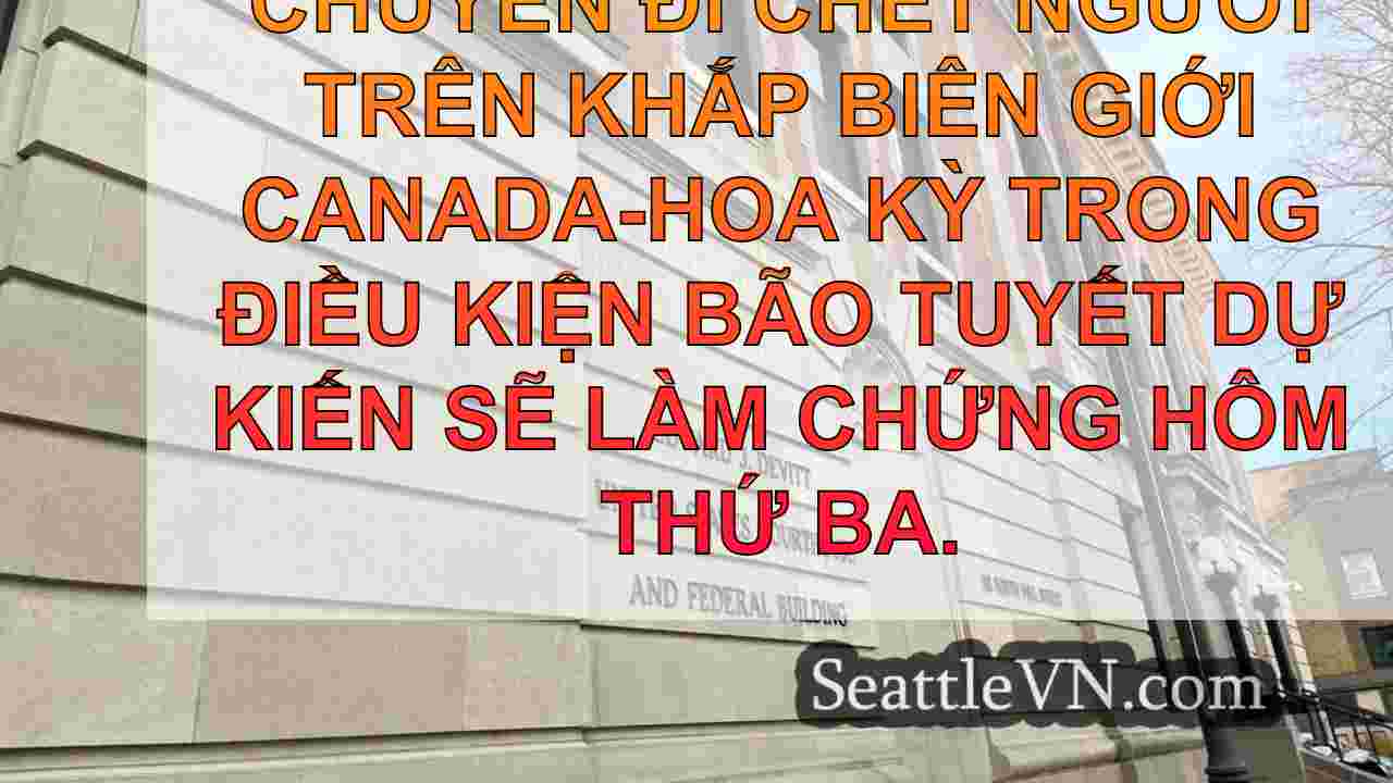 Người sống sót sau chuyến đi buôn lậu