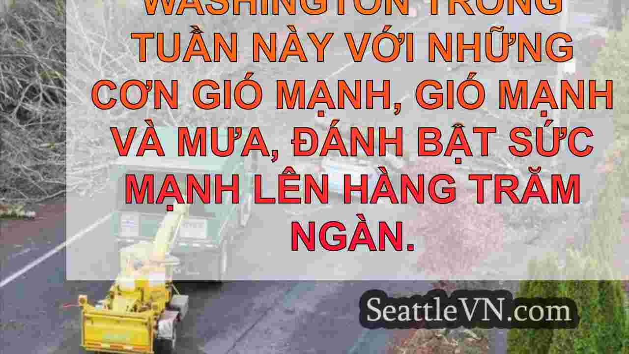 tin tức seattle SeattleVN