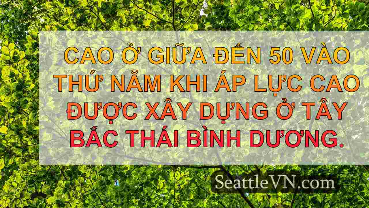 tin tức seattle SeattleVN