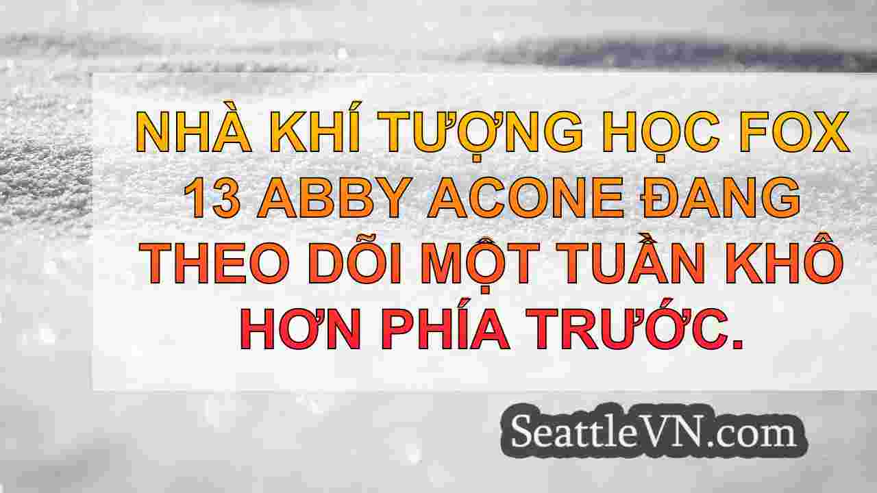 tin tức seattle SeattleVN