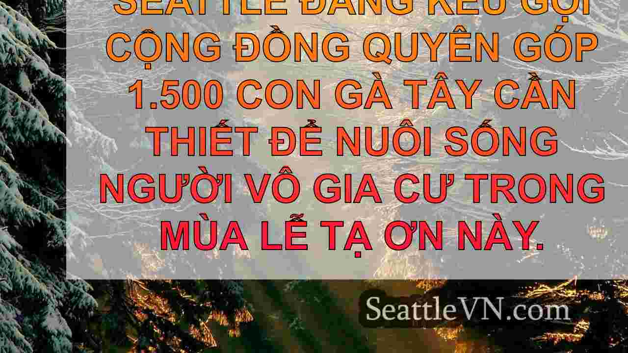 tin tức seattle SeattleVN
