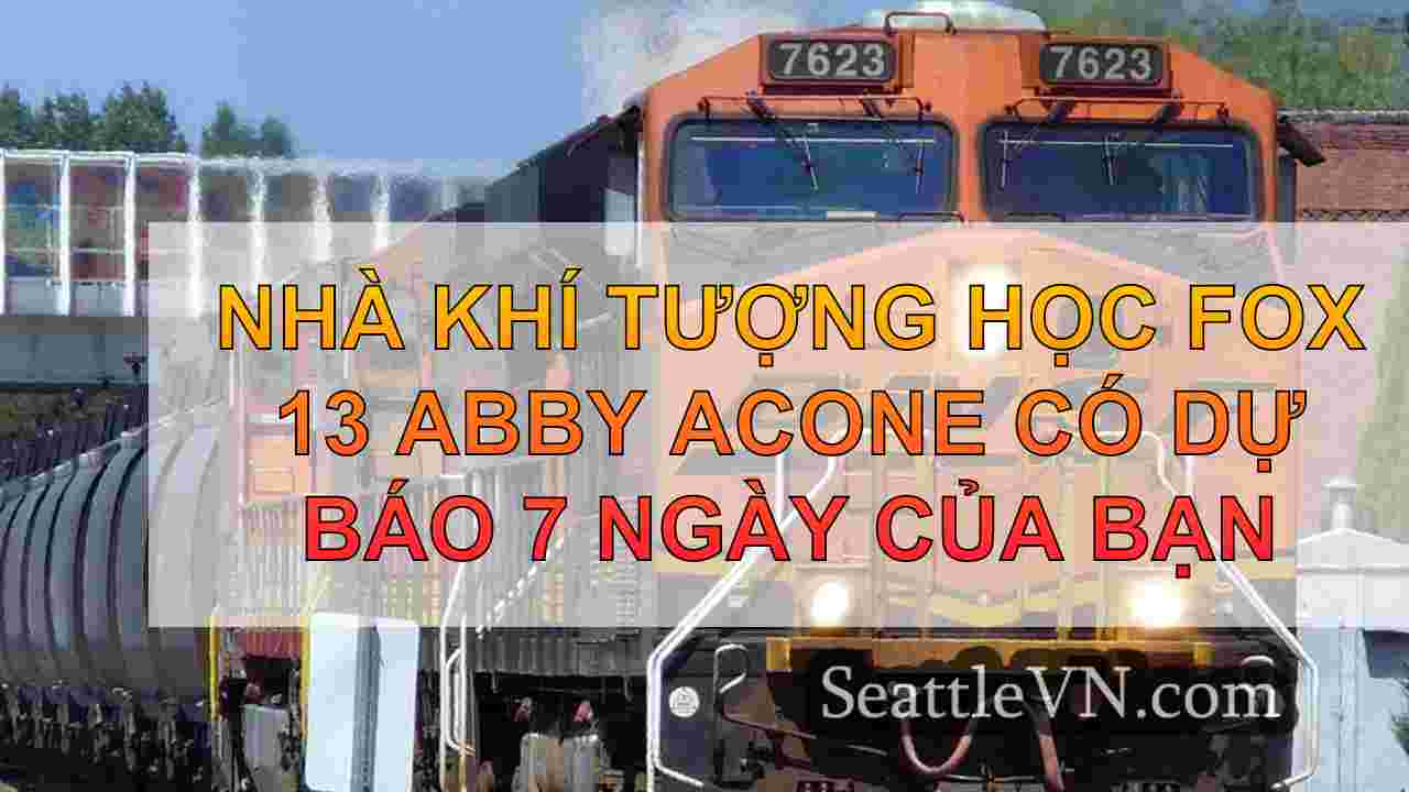 Cuộc diễu hành hệ thống bão cho khu vực