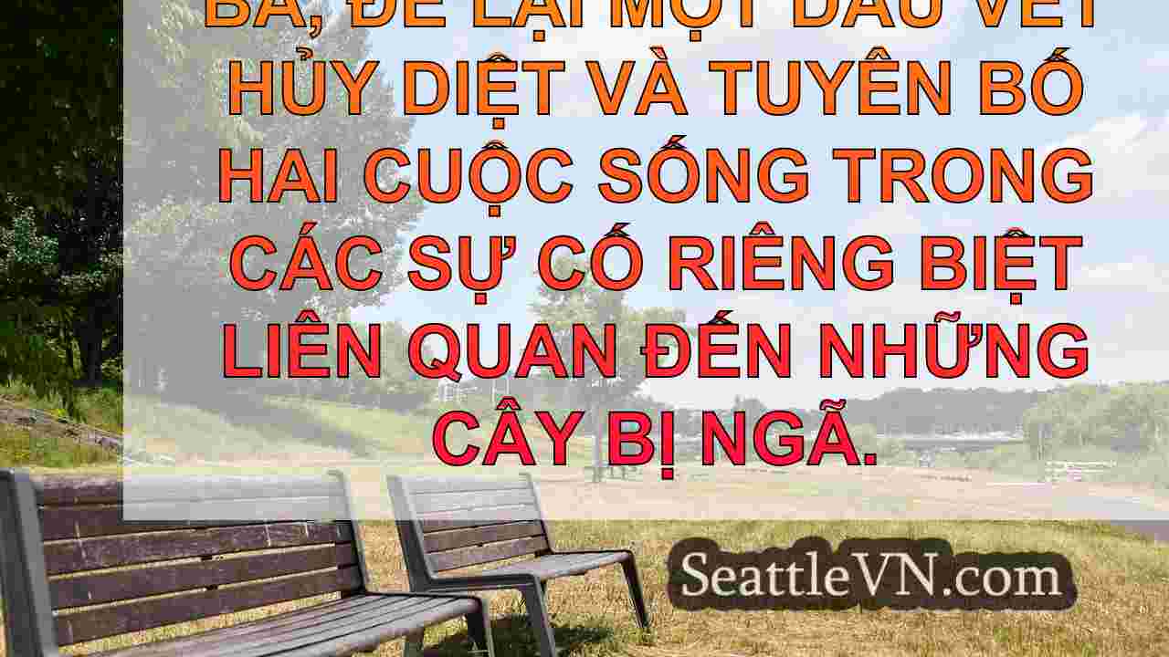 tin tức seattle SeattleVN