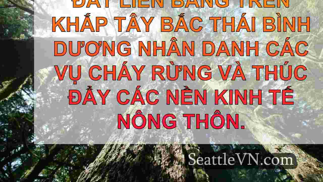 Ghi nhật ký nhiều hơn được đề xuất để