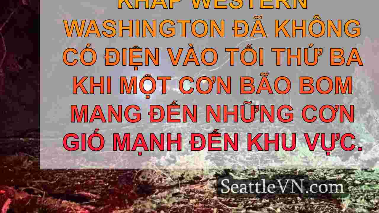 tin tức seattle SeattleVN