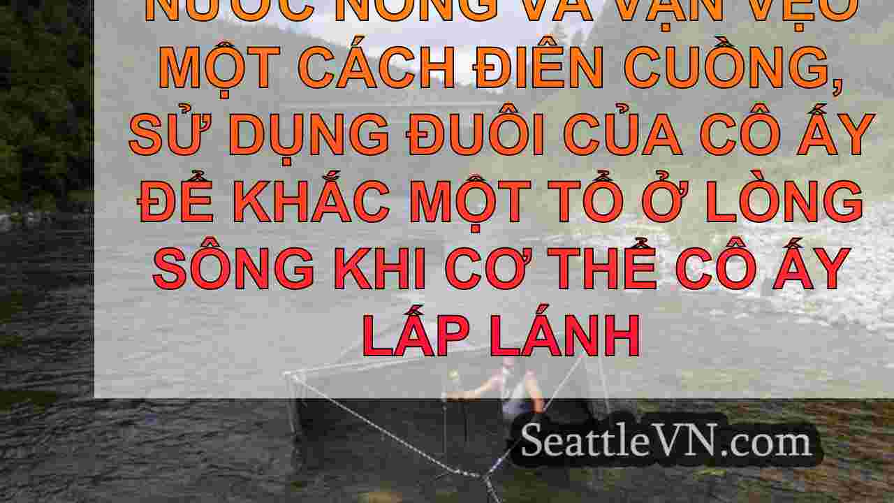 tin tức seattle SeattleVN