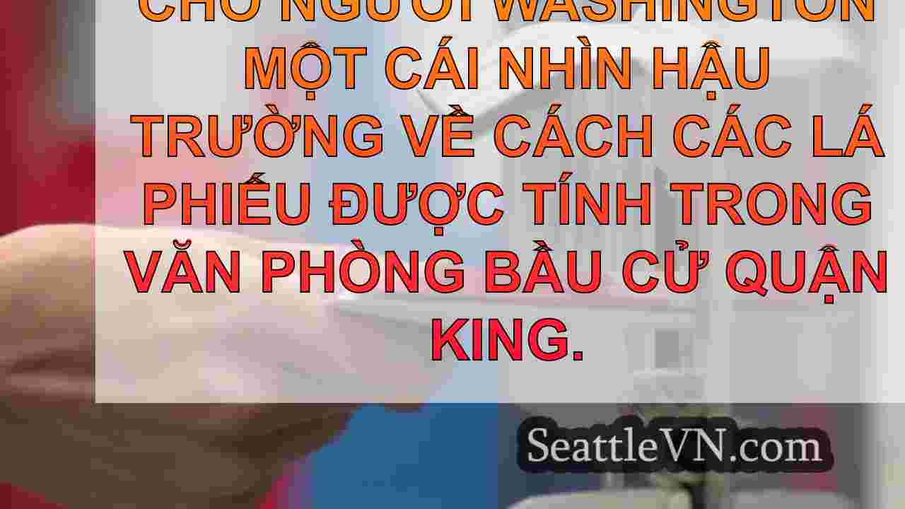 Tỷ lệ cử tri đi bầu cử 2024 của WA như