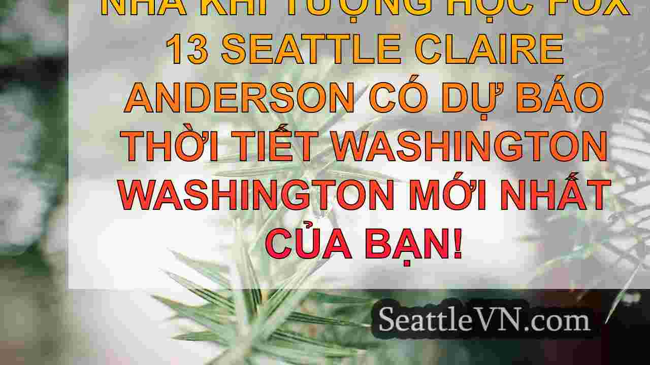 tin tức seattle SeattleVN