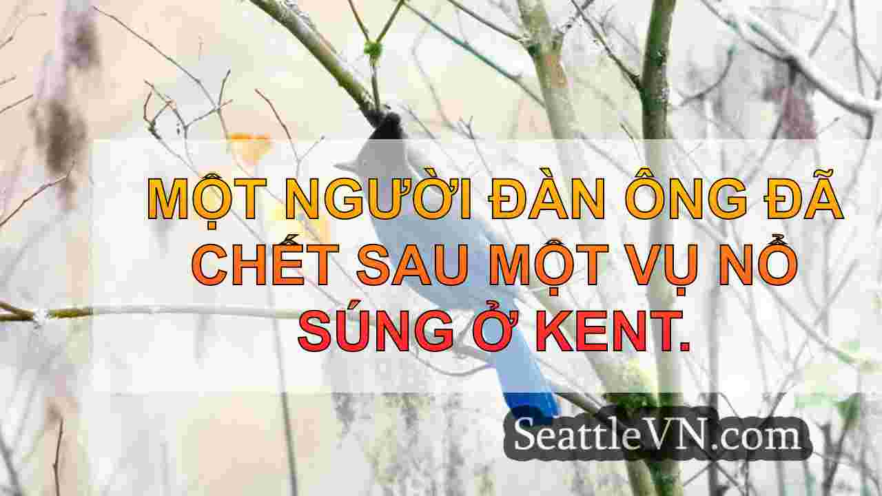 Cảnh sát Kent điều tra vụ nổ súng chết