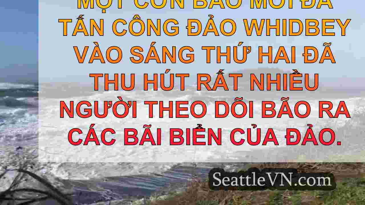 tin tức seattle SeattleVN