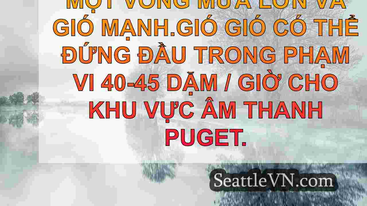 tin tức seattle SeattleVN