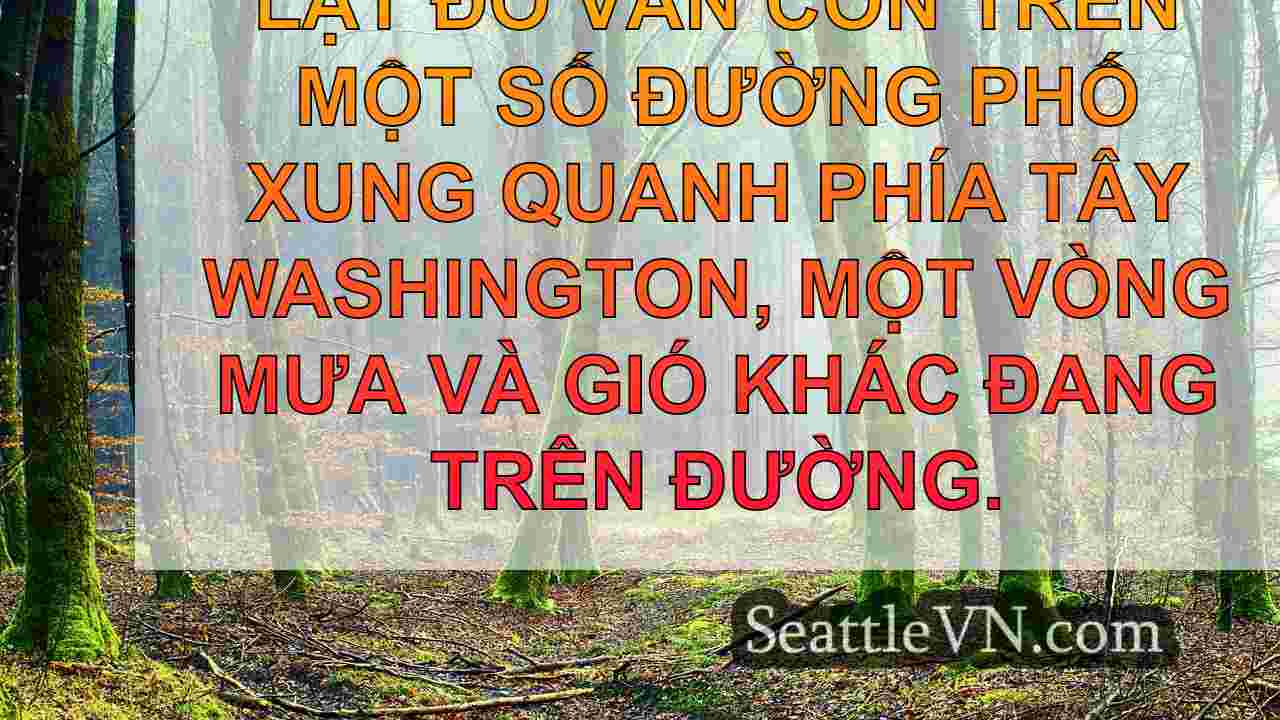 tin tức seattle SeattleVN
