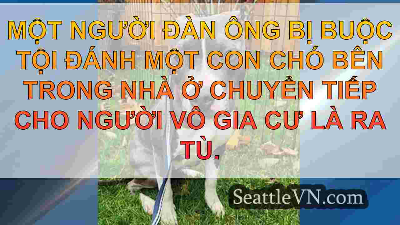 tin tức seattle SeattleVN
