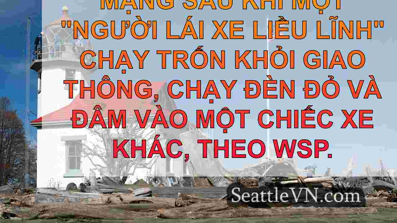 tin tức seattle SeattleVN