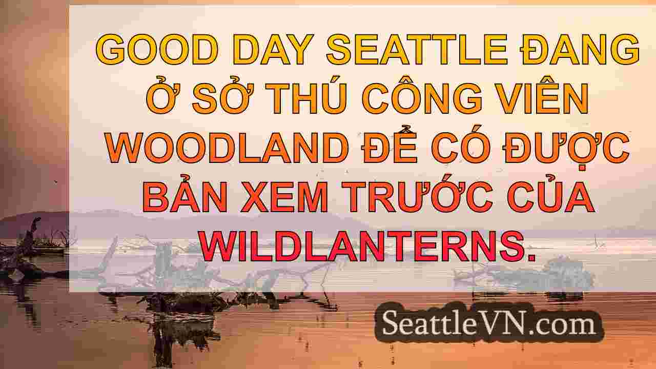tin tức seattle SeattleVN