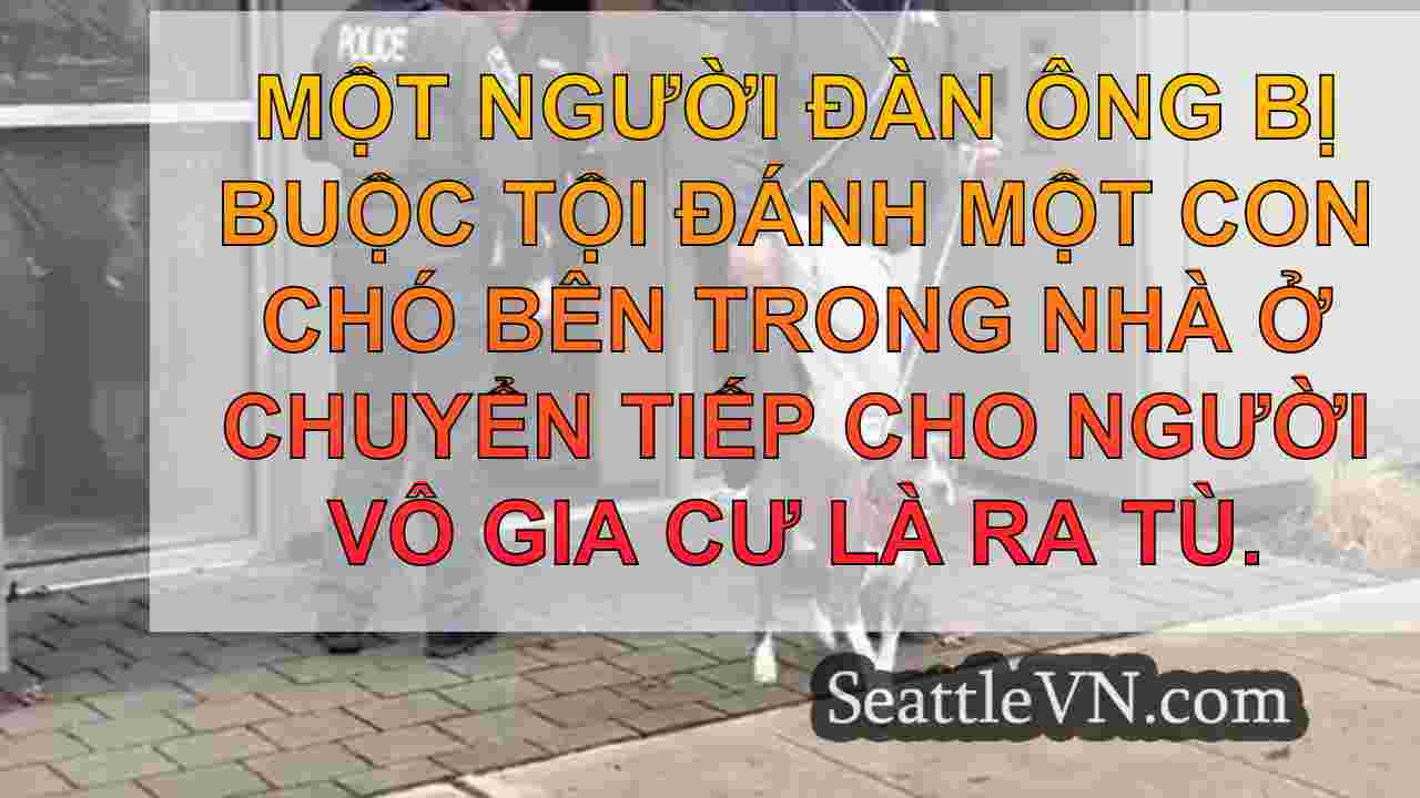 tin tức seattle SeattleVN