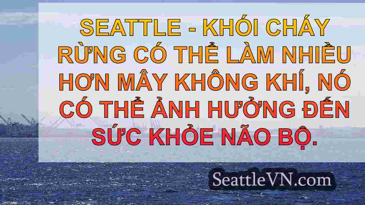 Khói cháy rừng khuếch đại nguy cơ mất