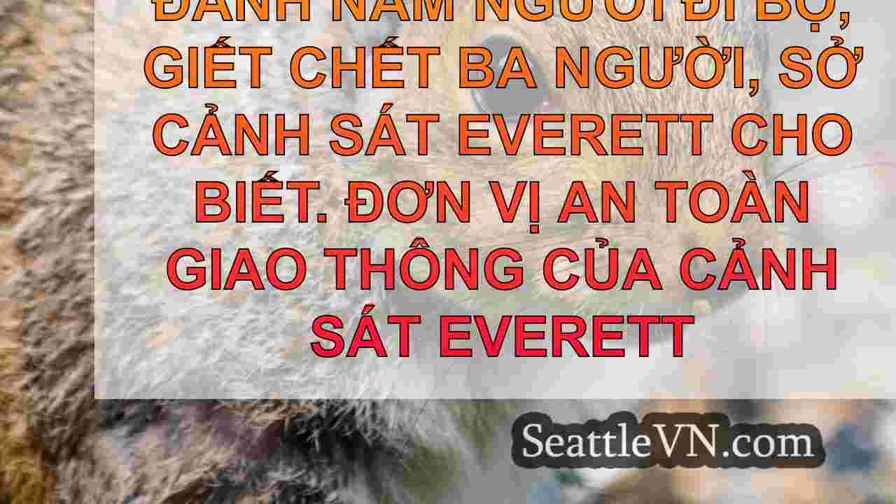 Người lái xe chạy trốn khỏi vụ tai nạn