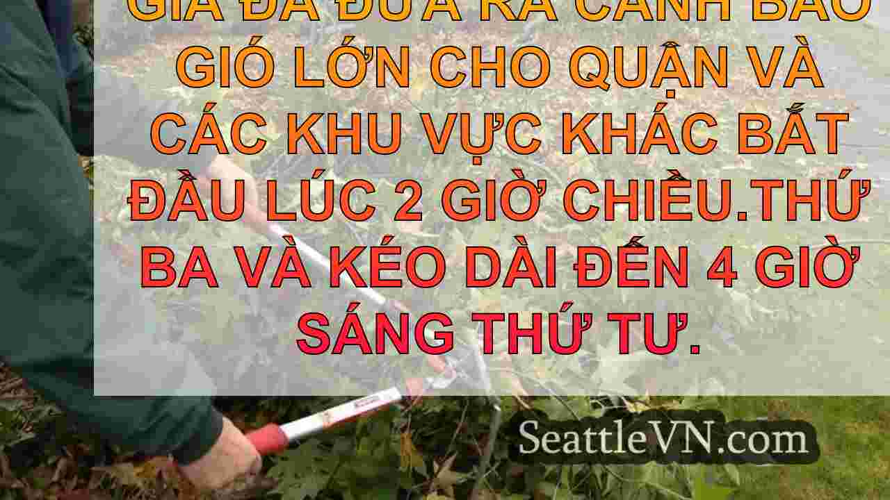 Niềng răng Monroe cho 'Bomb Bomb