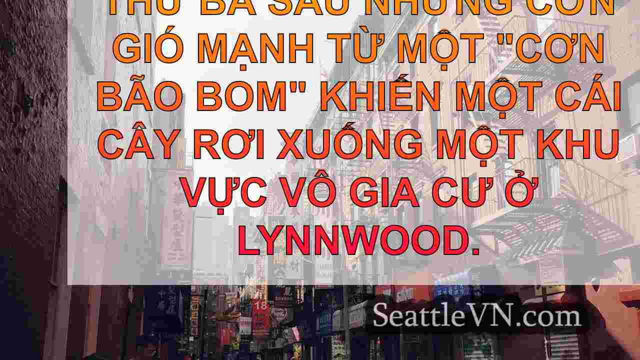 tin tức seattle SeattleVN