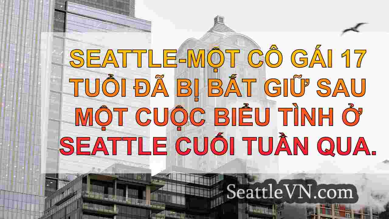 Cô gái 17 tuổi bị bắt vì thiệt hại tài