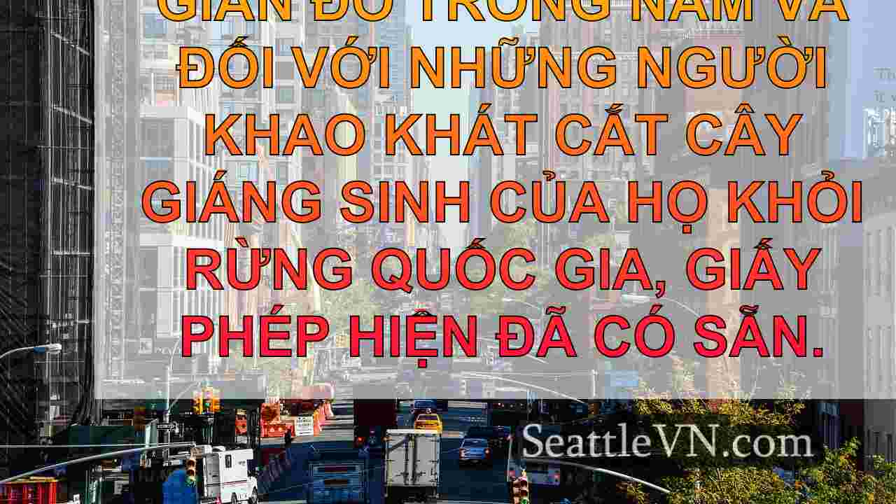 tin tức seattle SeattleVN